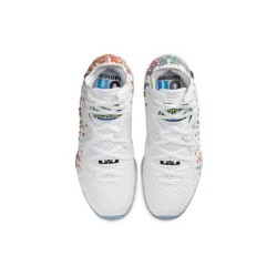 Nike LeBron 17 - Édition Spéciale King's Crown