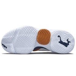 Nike LeBron 16 - Pour Dominance Terrain