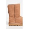 Bottes UGG Classic Short II | Article 1016223 Excellence